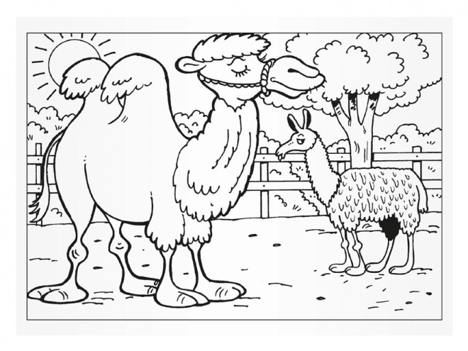 Kolorowanki MFP Wizyta w ZOO