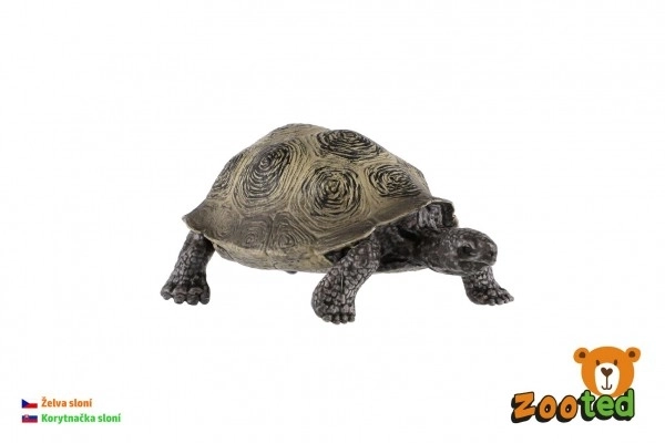 słoń żółw zooted plasterek 8cm w woreczku