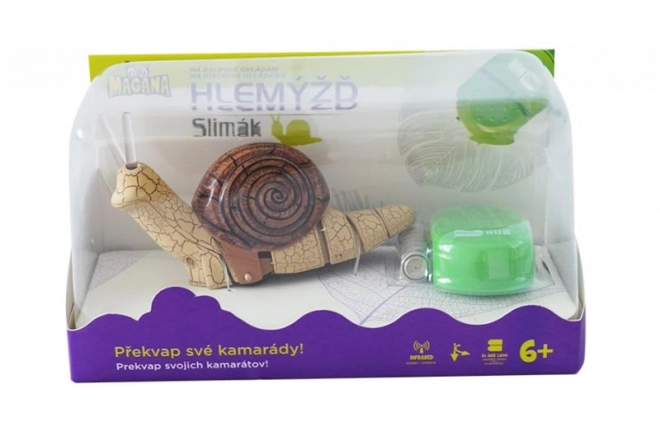 Ślimak na pilota