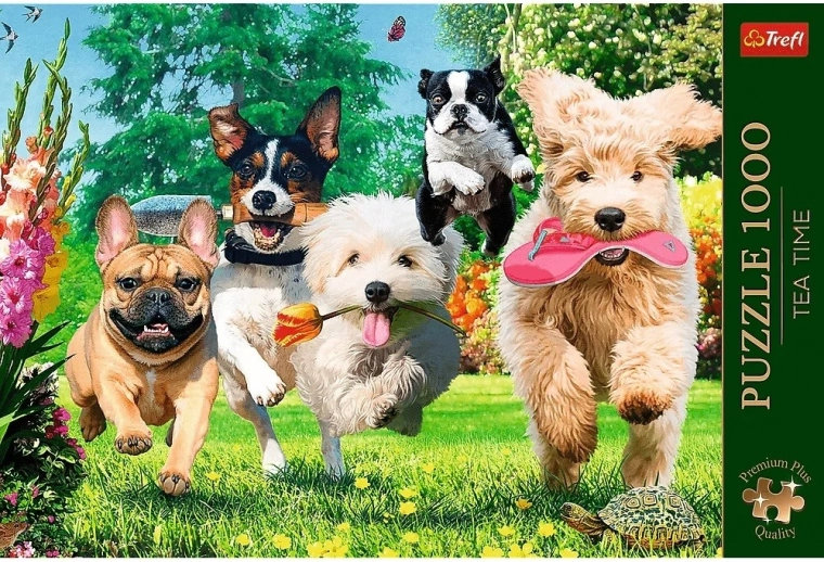 Jakość premium i precyzyjny wykrojnik