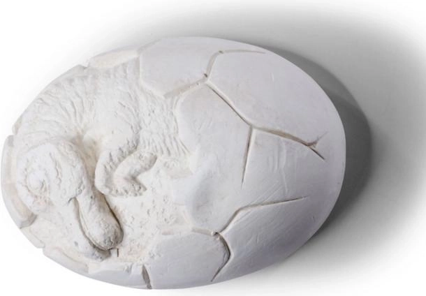 Zestaw do wykopywania jaj dinozaurów