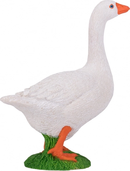 Wszechstronne zastosowanie