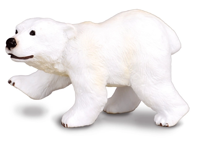 Młode Niedźwiedzia Polarnego Stojące