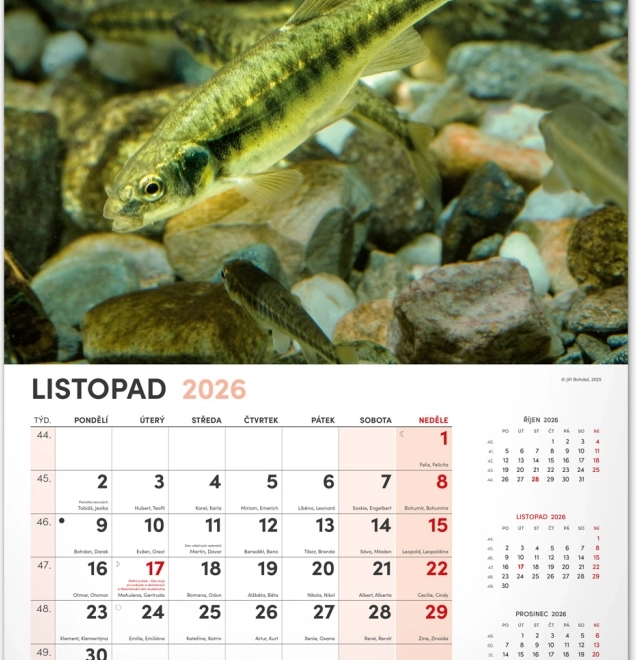 Kalendarz ścienny Wędkarski 2026