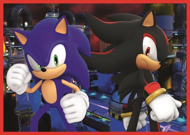 Puzzle 4w1 Sonic/Sonic The Hedgehog 28,5x20,5cm w pudełku 28x28x6cm