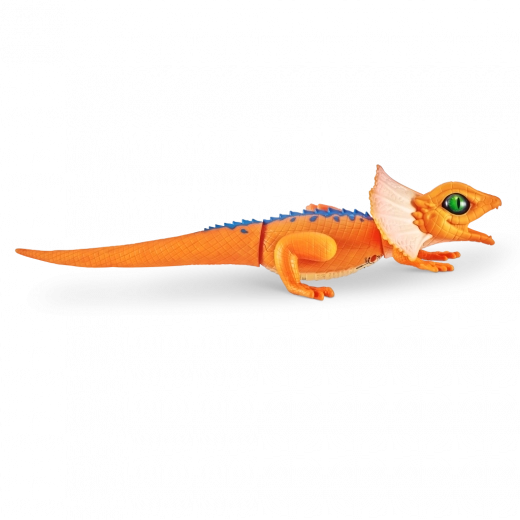 Realistyczny wygląd i kolory