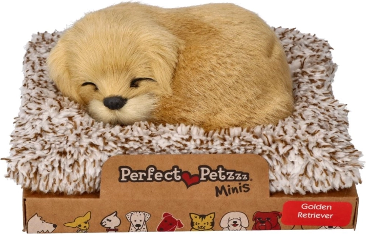 Szczekający golden retriever na legowisku