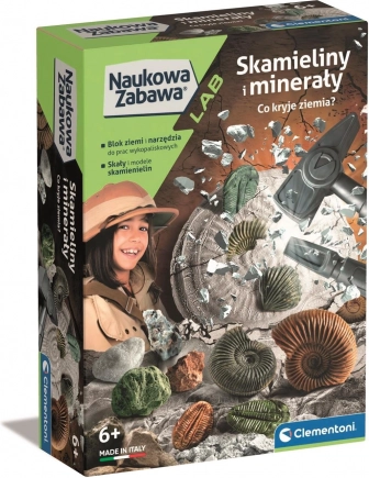 naukowy zestaw: skamieniałości i minerały