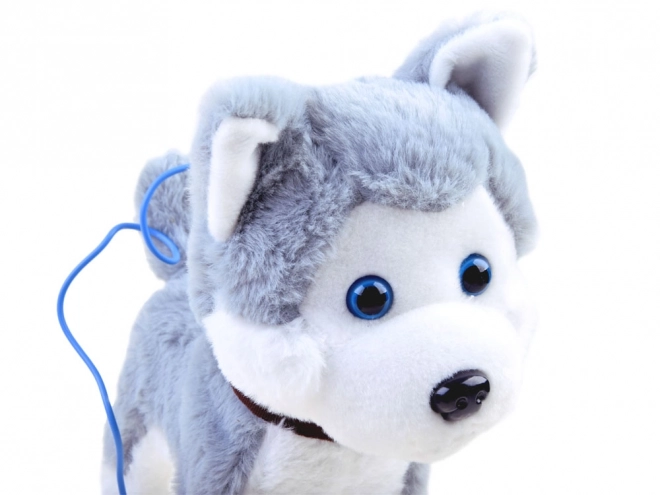 Interaktywny piesek Husky na smyczy