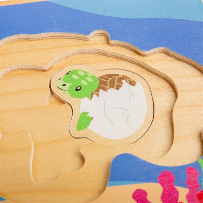 Bigjigs Toys Układanka Cykl Życia Żółwia