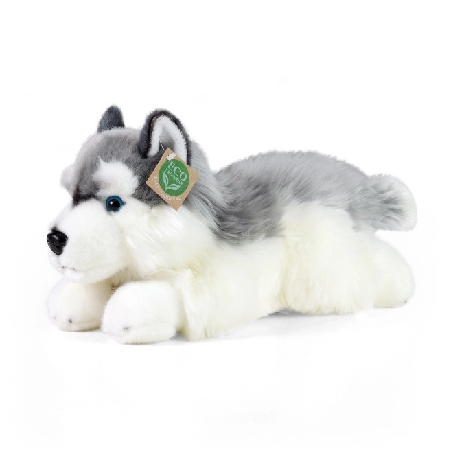 Rappa Pluszowy pies husky leżący 30 cm