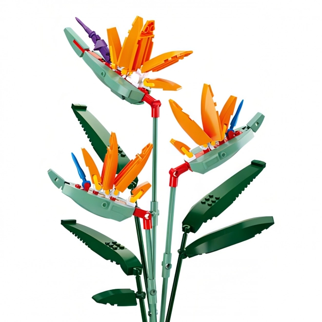 Sluban Flowers Strelicja Królewska
