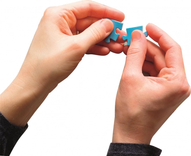 Puzzle 500 elementów Wzdłuż Sekwany