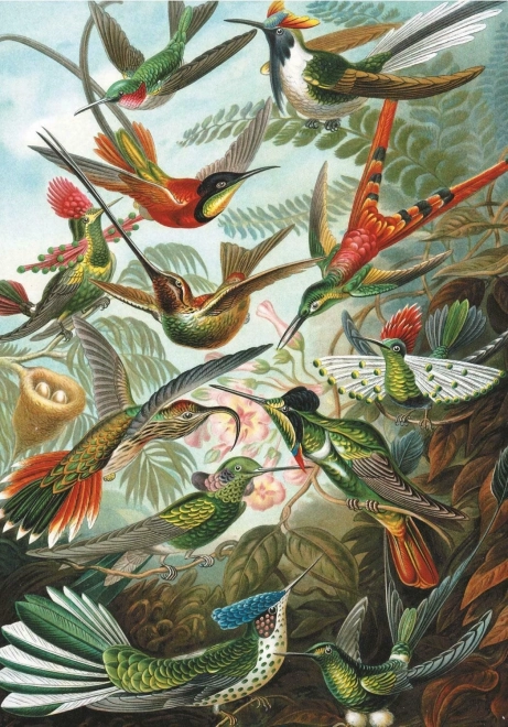 Puzzle Kolibry 1000 elementów