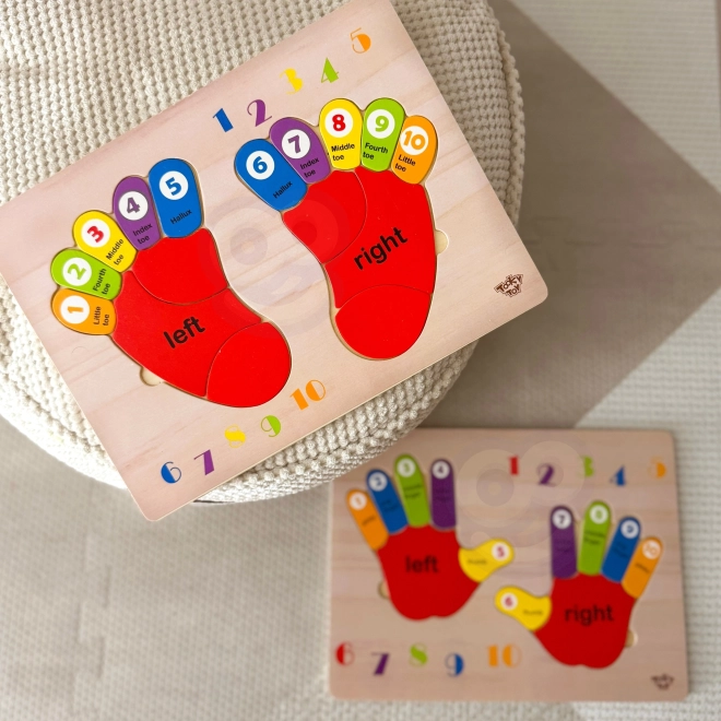Tooky Toy drewniana edukacyjna układanka nóżki do nauki liczenia i kolorów