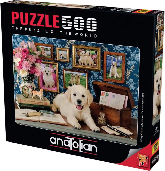 Puzzle Labrador 500 elementów