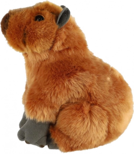 Bezpieczny wybór od urodzenia