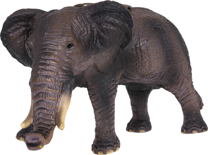 Realistyczne detale i solidne wykonanie