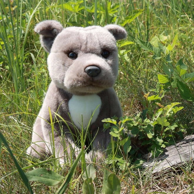 Pluszowy pies staffordshire bull terrier 30cm EKOLOGICZNY