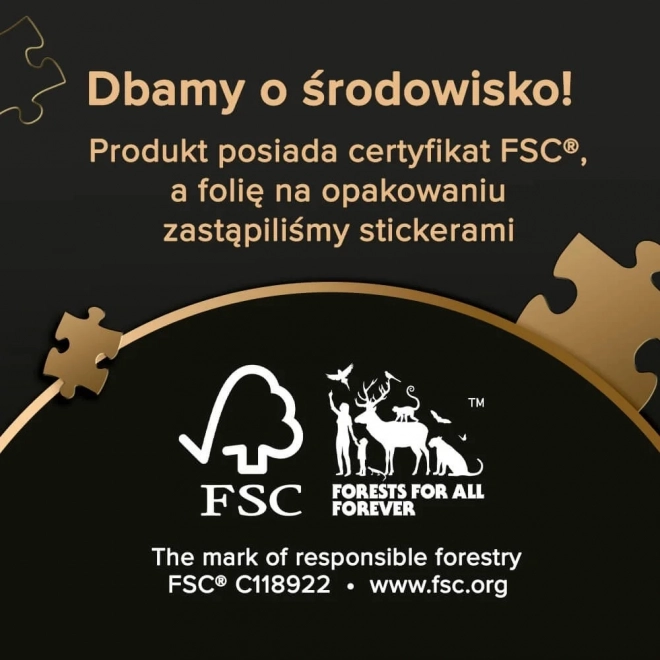 TREFL Puzzle Premium Plus Photo Odyssey: Zamek Neuschwanstein 1000 elementów