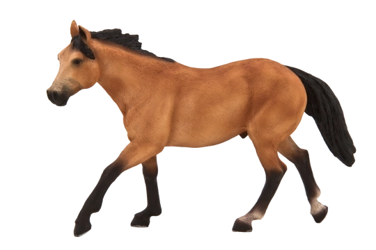Mojo Koń pływak