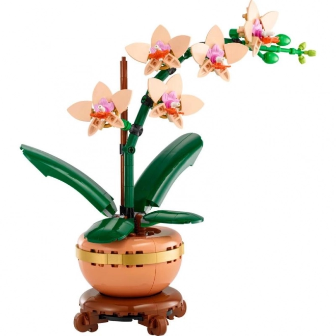 Lego Botanicals Mała Orchidea