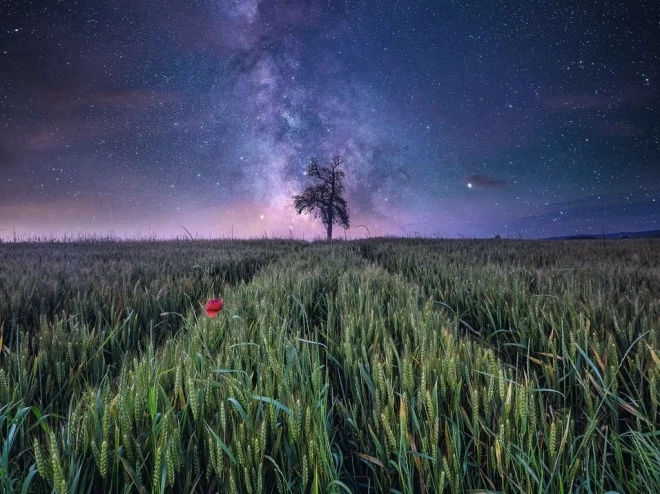 Ravensburger puzzle Nocne niebo nad polami zboża 1500 elementów