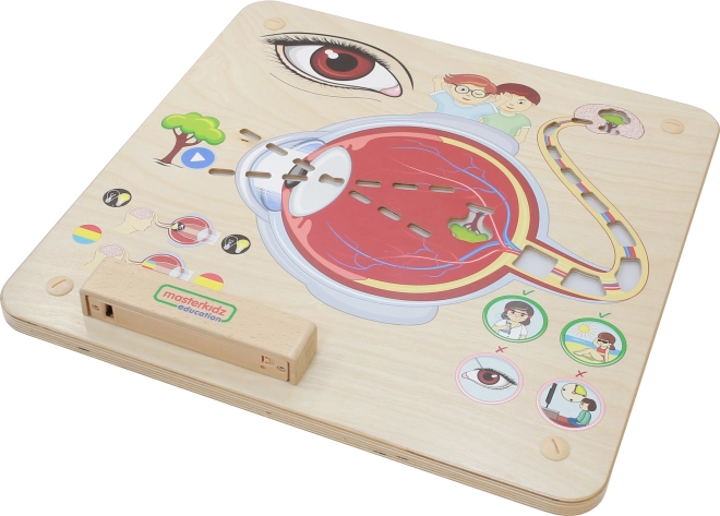 Masterkidz Edukacyjna Tablica Wzrok Montessori