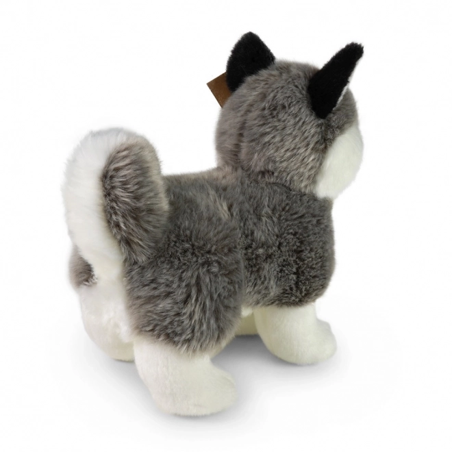 Pluszowy pies husky stojący 23 cm EKOLOGICZNY