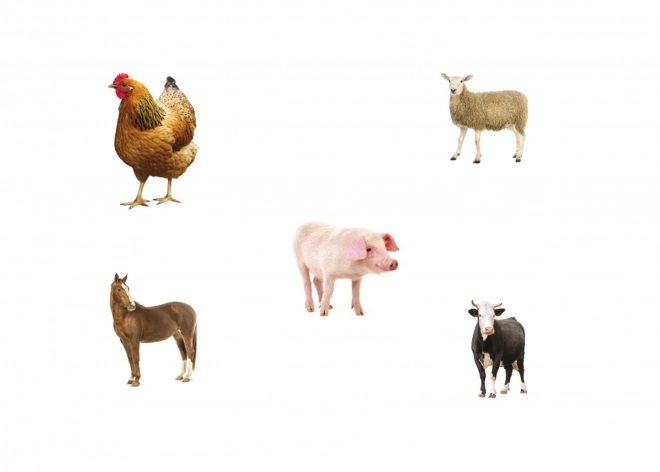 Just Jigsaws Drewniane puzzle kształty i pamięć 6 części i 4 wzory