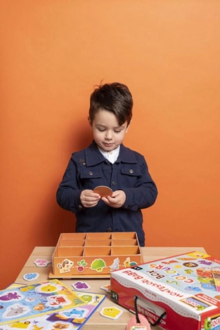 MONTESSORI KRABKA DLA DZIECI - Kolory