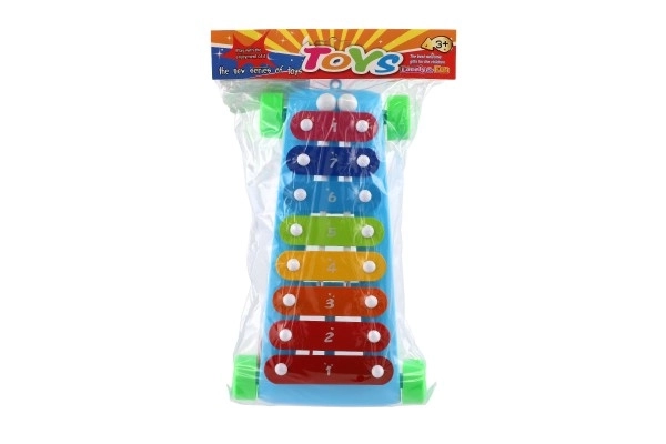 Ksylophon plastikowy/metalowy 24 cm z pałeczkami 2 kolory w woreczku 19x31x6 cm