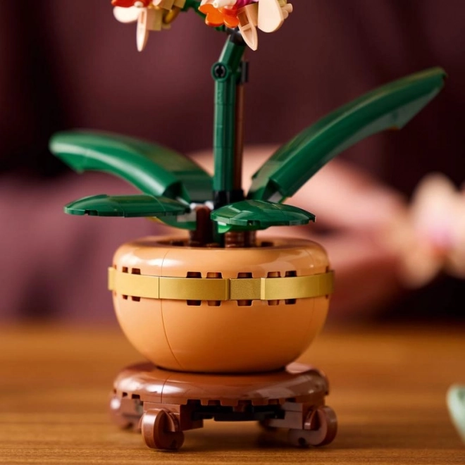 Lego Botanicals Mała Orchidea