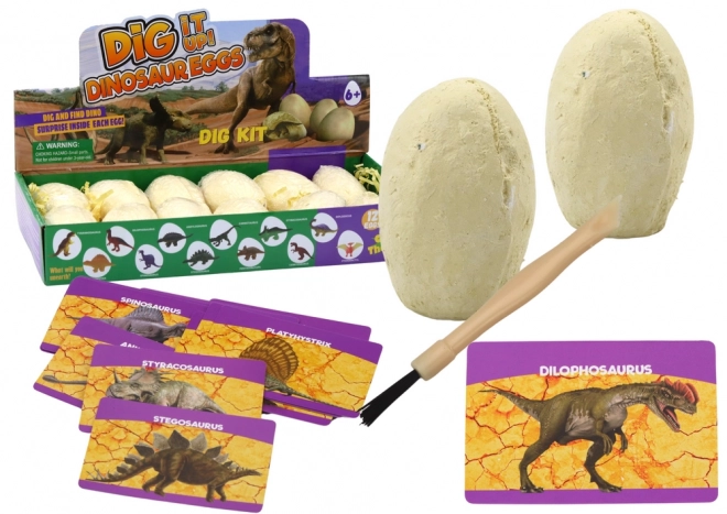 Archeologiczny Zestaw Wykopaliska Jaja Dinozaura Karty 12 sztuk