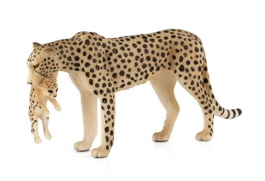 Mojo Gepard z młodym