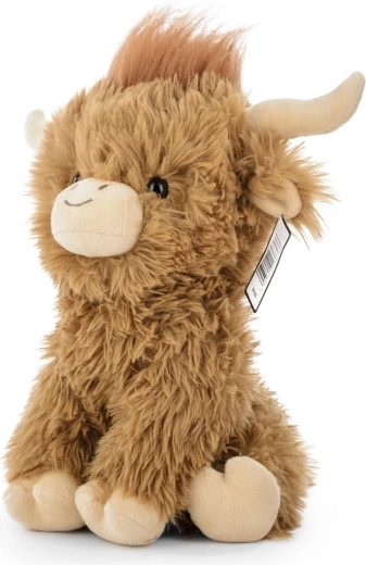 Autentyczny wygląd krówki Highland