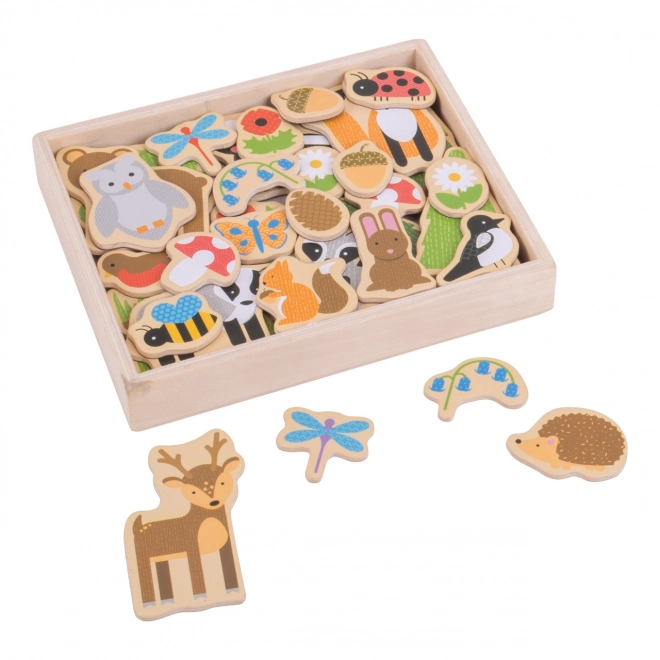 Bigjigs Toys Magnety leśne zwierzątka