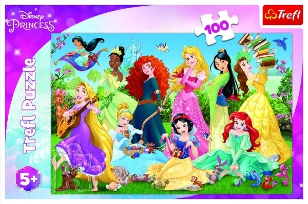 Puzzle Czarujące księżniczki/Disney 100 elementów 41x27,5cm w pudełku 29x19x4cm