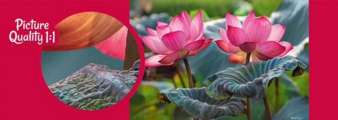 Puzzle Różowe kwiaty lotosu 500 elementów