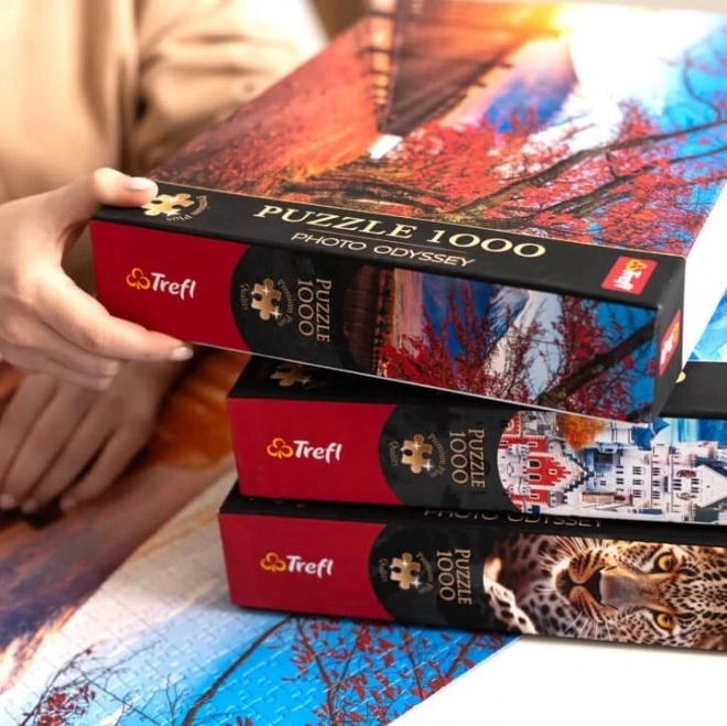 TREFL Puzzle Premium Plus Photo Odyssey: Zamek Neuschwanstein 1000 elementów