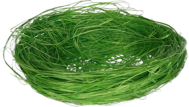 Dekoracyjne gniazdko zielone 8 cm