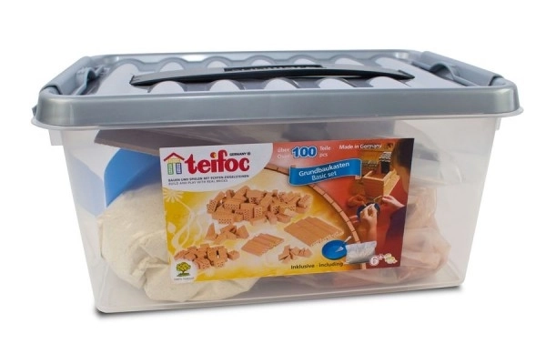 Zestaw Startowy Teifoc w plastikowym pudełku - 100 elementów