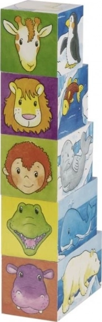 Drewniane kostki Safari i Arktyka, 5 kostek