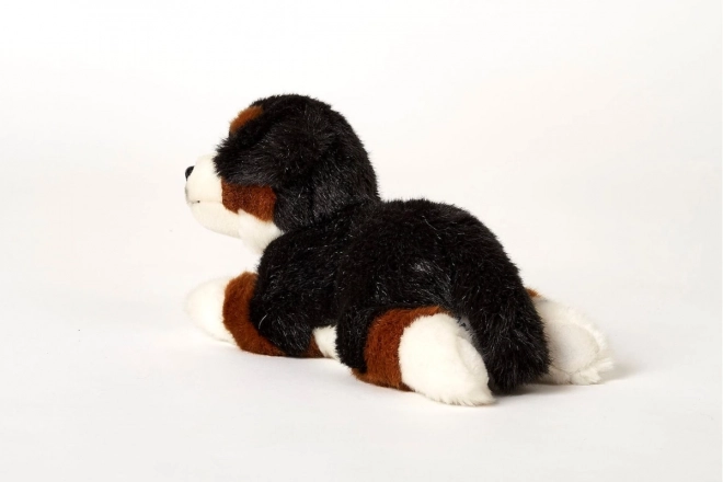 Plusz Berneński pies pasterski 25 cm
