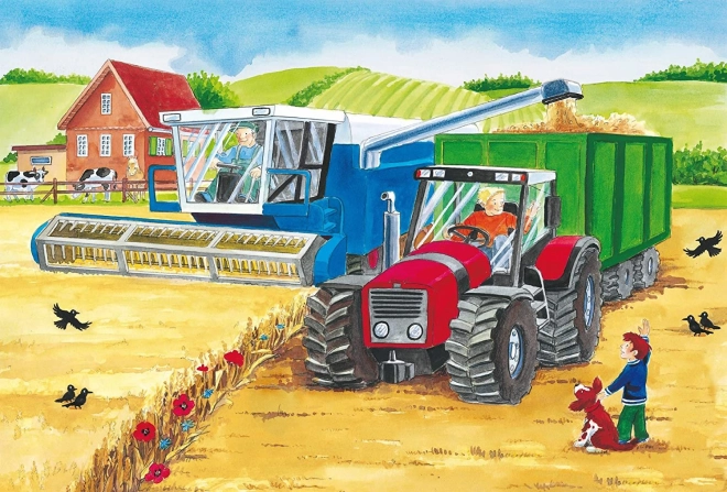 Żywa farma w akcji