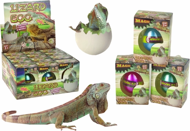 Magiczne wykluwające się jajko – rosnąca jaszczurka 6 cm