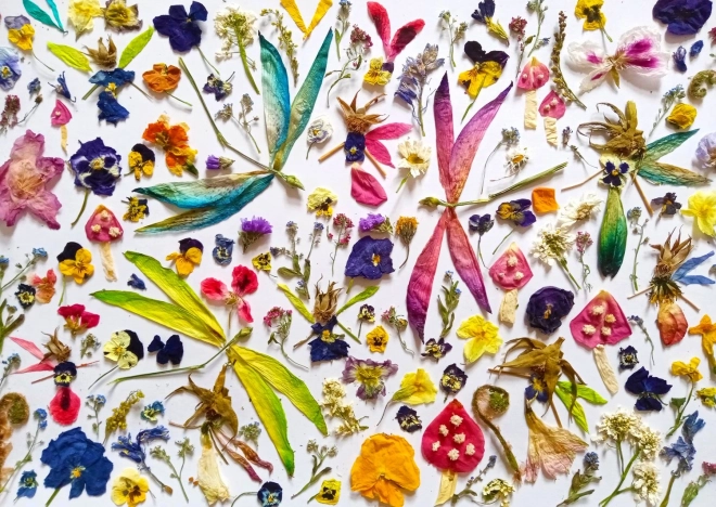 Puzzle Wróżki i Ważki 1000 elementów
