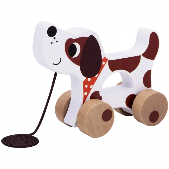 Montessori sensoryczna skrzynka XXL 6w1 od Tooky Toy
