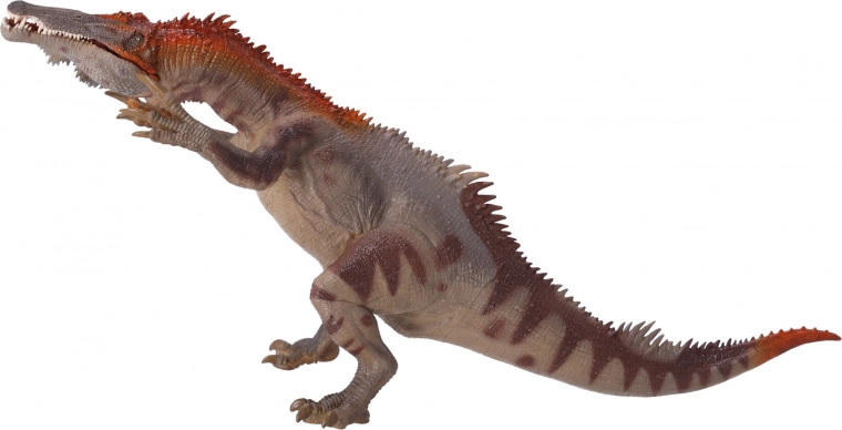 Odpowiednia dla kolekcjonerów