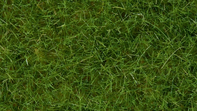 Trawa statyczna dzika jasnozielona 6 mm Noch